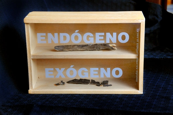 Endógeno / Exógeno